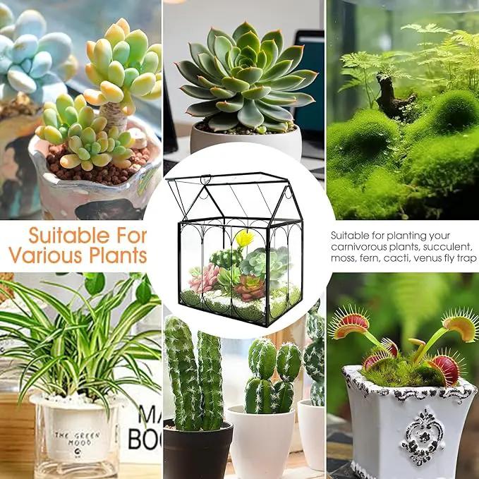 Plant Terrarium Jar, Rifny Indoor House Shape Glass Terrarium Planter with Lid for Venus Fly Trap Succulent Live Air Plants, Small Terrarium Decor for Home Office (Without Plants) by GreenHaven Gardens