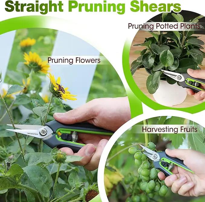 WORKPRO Garden Pruning Shears 2 Pack, 8" Bypass Pruning Shears and 6.25" Straight Garden Scissors, Premium Plant Shears, Garden Clippers Hand Tools for Cutting Flowers, Trimming Plants, Picking Fruits by GreenHaven Gardens