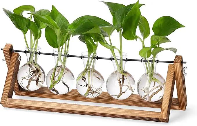YIBOT Propagation Stations,Plant Terrarium with Wooden Stand,Plant Lover Gifts for Women for Hydroponics Plants Home Garden Wedding Decor(5 Bulb Vase) by GreenHaven Gardens