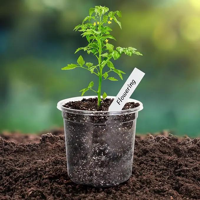 Bonviee Nursery Pots for Plants, 30-Pack 5-Inch Plastic Seedling Pots with Drainage Holes, and 10 Plant Labels, Ideal for Seed Starters and Flowers -Clear by GreenHaven Gardens