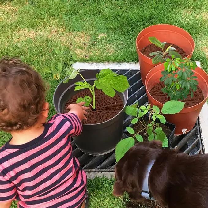 3 Pcs Plant Pot Grid Cover Protectors from Animals- Diameter 20.8" Cuttable Flower Pot Cover with 36 Stakes, Keep Cats Out of Potted Plants, Cat Digging Stopper Baby Safety Soil Cover for Indoor by GreenHaven Gardens