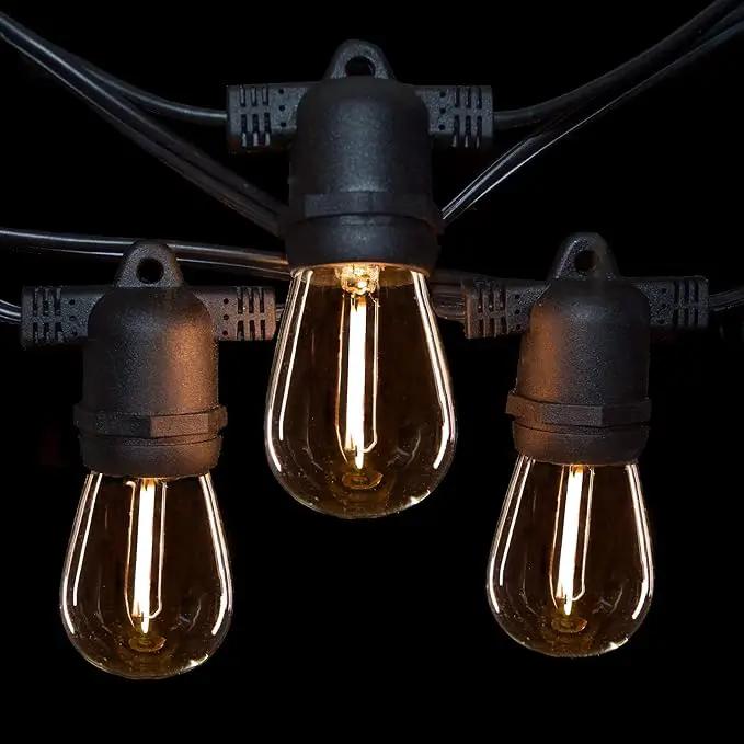 Hometown Evolution, Inc. 100' E26 Commercial LED Outdoor String Lights (100 Foot 50 Socket, S14 LED Filament 1 Watt Light Bulbs) by GreenHaven Gardens