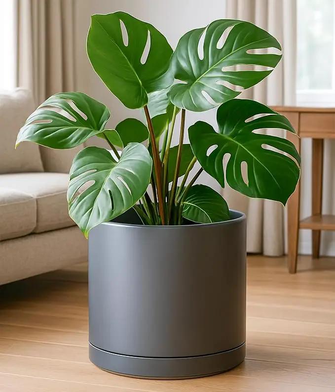 D'vine Dev 14 Inch Ceramic Planter Pot with Drainage Hole and Saucer, Indoor Cylinder Round Planter Pot, Speckled Grey, 94-O-G-3 by GreenHaven Gardens
