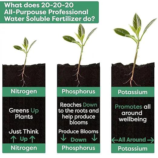 20-20-20 Water-Soluble Fertilizer – Powder for Liquid Plant Food for Indoor & Outdoor Plants, Orchids, Vegetables, Lawns, Flowers – 20 20 20 Fertilizer (10 QUARTS) by GreenHaven Gardens