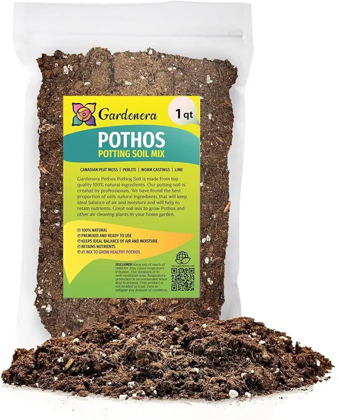 Premium Pothos Potting Soil Mix - Air Cleaning Plant Potting Mix, Soil Mix for Pothos, Parlor Palm, Peace Lily - (1 Quart Bag) by GreenHaven Gardens