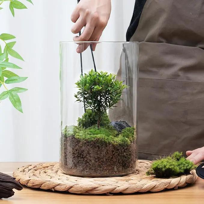 Desktop Glass Plant Terrarium with Grow Light (H:9.8" D:5.9"), for Succulent, Moss, Miniature Gardening Landscape, Betta Fish Tank, Indoor Plant Growth, Office Home Decoration, Plant Lovers Gifts by GreenHaven Gardens