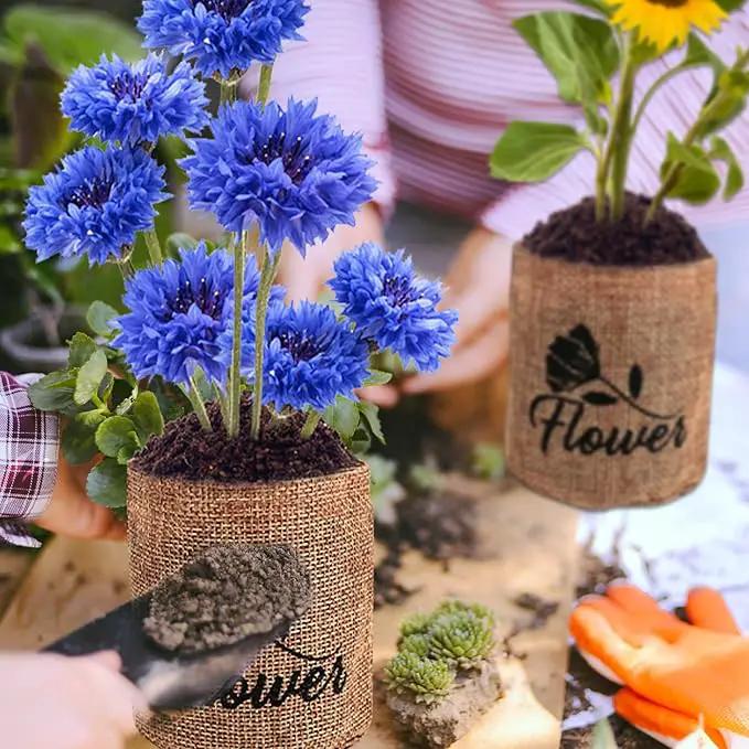 Indoor Daisy Garden Starter Kit, 4 Flower Seeds Growing into Shasta Daisy, Cornflower, Sunflower, Zinnia, Including Complete Gardening Tools, Christmas Gifts for Women Men & Beginners by GreenHaven Gardens
