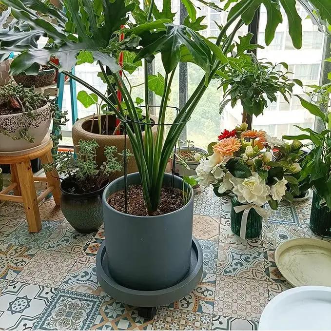 2 Pack of 11 Inch Heavy Duty Plant Caddy with Wheels,Rolling Plant Stand Pot Trolley,Wheeled Planter Saucer Tray,Potted Flower Mover Dolly with Casters Round Coaster for Indoor Outdoor by GreenHaven Gardens