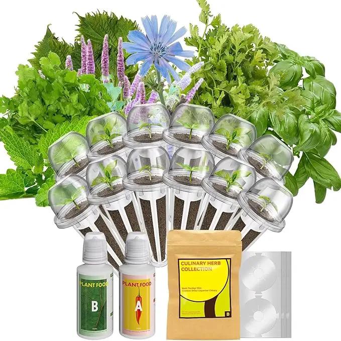 inbloom Herb Seed Pod Kit for AeroGarden, iDOO, Ahopegarden, MUFGA Hydroponic Growing System Indoor Garden, 12-Pod, 350+ Seeds Included Basil, Mint, Cilantro, Parsley, Shiso, Chicory, Liquorice by GreenHaven Gardens