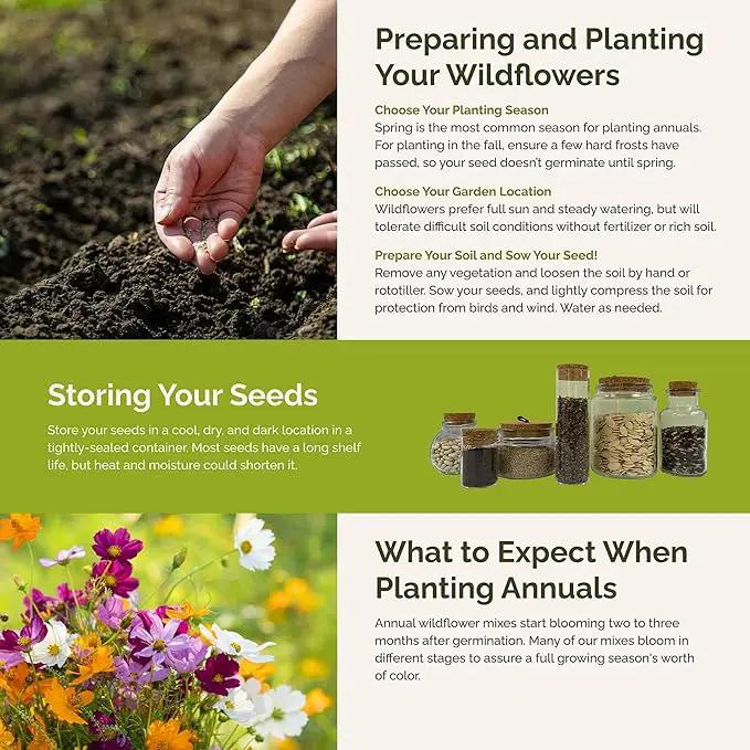 Eden Brothers All Annual Wildflower Mixed Seeds for Planting, 10 lb, 4,800,000+ Seeds Including Sunflower, Indian Blanket | Attracts Pollinators, Plant in Spring, Zones 3, 4, 5, 6, 7, 8, 9, 10 by GreenHaven Gardens