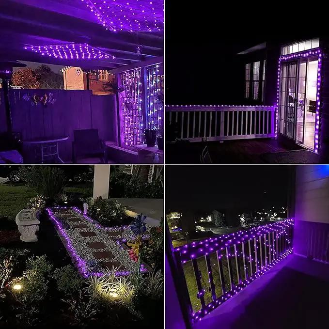 QITONG 4 Pack Purple Solar Fairy Lights, Each 33ft 100 LED Solar Christmas Lights, 8 Modes Solar Twinkle String Lights by GreenHaven Gardens