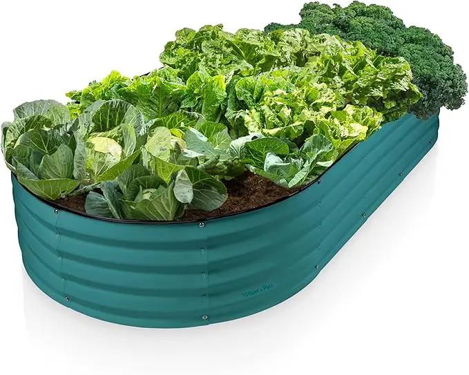 Galvanized Raised Garden Beds Outdoor // 6×3×1 ft Planter Raised Beds for Gardening, Vegetables, Flowers // Large Metal Garden Box // Patented Tool-Free Design (Turquoise) by GreenHaven Gardens