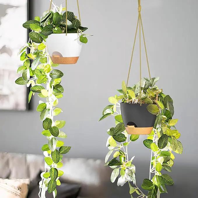 ZMTECH 6.5 Inch Hanging Planters for Indoor Outdoor Plants, 2 Pack Self Watering Hanging Plant Pots with Drainage Holes and Removable Saucer, Plastic Flower Hanging Pots with Watering Lip (Black) by GreenHaven Gardens