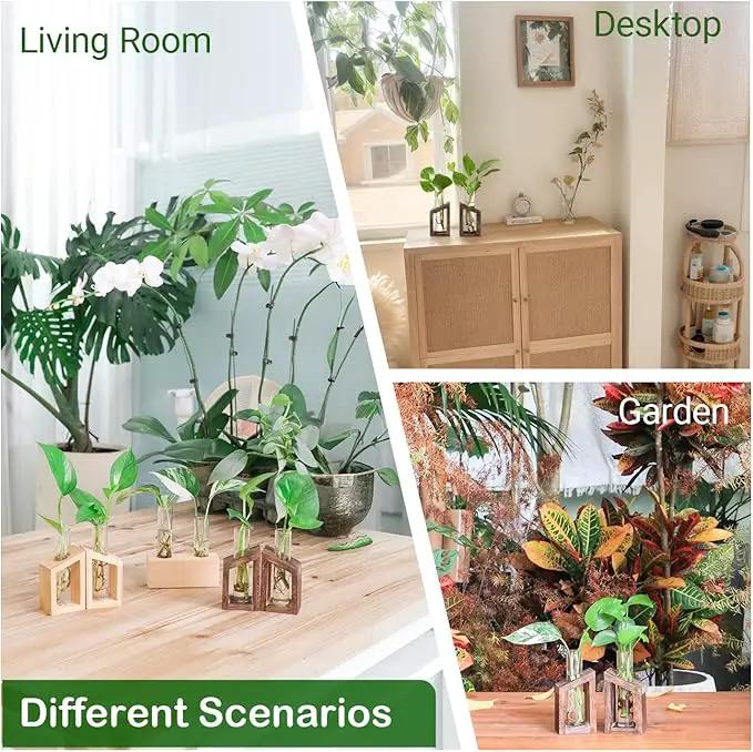 Ivolador Test Tube Propagation Stations Pothos Planter Terrarium Container Perfect for Propagating Hydroponic Plants Home Office Garden Decor Wedding -2 PCS by GreenHaven Gardens