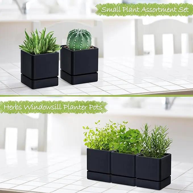 4 Inch Herb Planter Pot, Plastic Planter with Drainage Holes and Saucer, Modern Decorative Gardening Pot for Indoor Plants, Flowers, Herbs, Succulents, Black, Set of 3, 76-Y-B-3 by GreenHaven Gardens