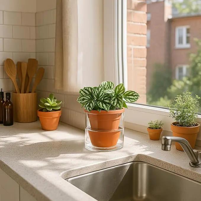 D'vine Dev 4 Inch Design Self Watering Pot for Indoor Plants, Terracotta Planter with Cylinder Glass Cup, Set of 3, 37-Z-A-1-T by GreenHaven Gardens