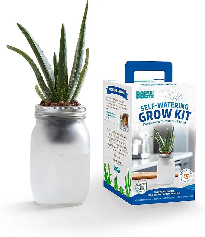 Back to the Roots Self Watering Grow Kit - Glass Hydroponic Planters for Succulents and Cacti Self-Watering System by GreenHaven Gardens