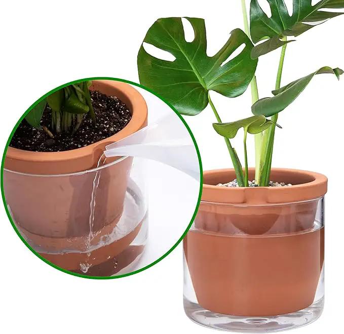 D'vine Dev 8 Inch Design Self Watering Pot for Indoor Plants, Terracotta Planter with Cylinder Glass Cup, 37-X-C-1 by GreenHaven Gardens