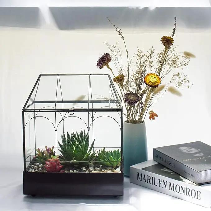 Large Tall Glass Plant Terrarium – House Succulent Terrarium Kit with Lip and Tray Glass Greenhouse Terrarium for Plant 9.5”X5.7”X11.4” by GreenHaven Gardens