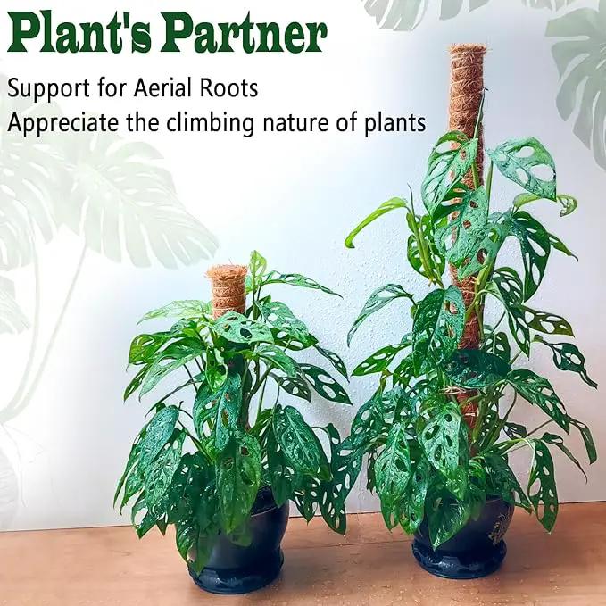 4 Pack 22 Inch Moss Poles, Stackable Moss Pole for Plants Monstera, 70 Inch Tall Moss Poles for Climbing Plants Indoor, Coir Totem Plant Support Stakes Stand for Potted Plants, Pothos by GreenHaven Gardens