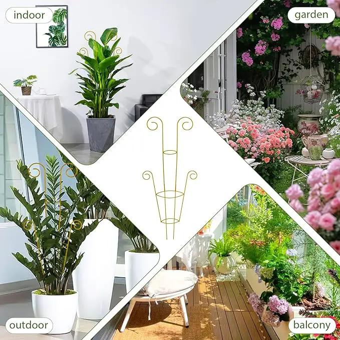 ZOUTOG Trellis for Climbing Plants Indoor 30 Inch, Houseplant Trellis for Potted Plants Metal 4Pcs for Vine Ivy Flower Support,Round Shape,Golden by GreenHaven Gardens