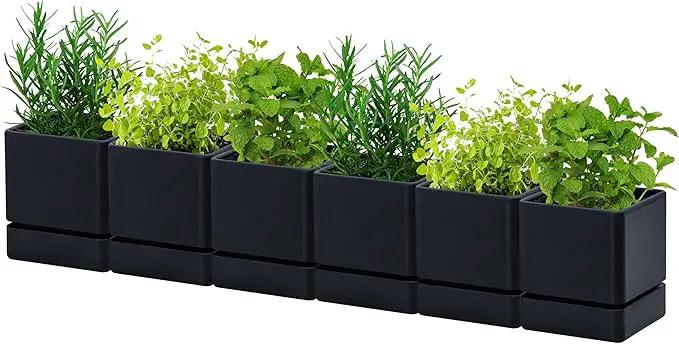 4 Inch Herb Planter Pot, Plastic Planter with Drainage Holes and Saucer, Modern Decorative Gardening Pot for Indoor Plants, Flowers, Herbs, Succulents, Black, Set of 6, 76-Y-B-6 by GreenHaven Gardens