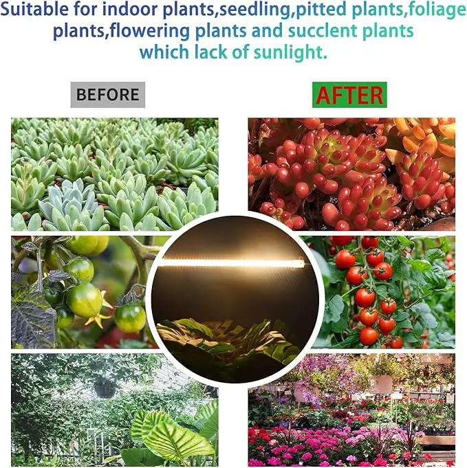 One Strip Growing lamp 2-Pack, Full Spectrum LED Grow Light Strips for Indoor Plants with Auto ON/Off Timer & 4 Dimmable Levels, for Green House Hydroponics Succulent (One Strip×2pcs) by GreenHaven Gardens