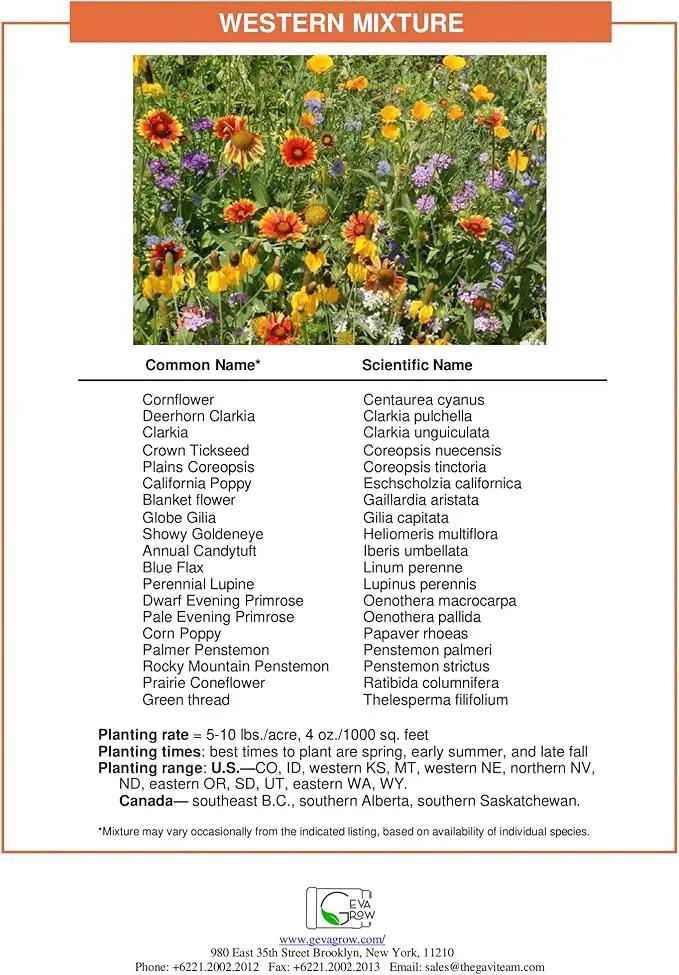 GevaGrow - Western Wildflower Seeds Regional Mix - Organic, Non-GMO - 100% Pure Seed - 18 Different Wildflowers Seeds of Annual and Perennial, 1LB Tub by GreenHaven Gardens