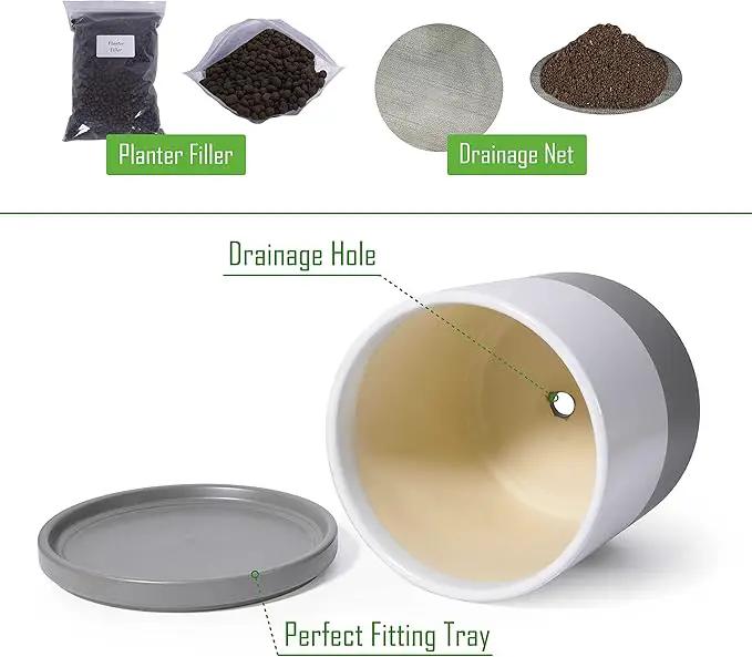 D'vine Dev 8 Inch Ceramic Planter Pot with Drainage Hole and Saucer, Indoor Cylinder Round Planter Pot, White/Speckled Grey, 94-O-D-6 by GreenHaven Gardens