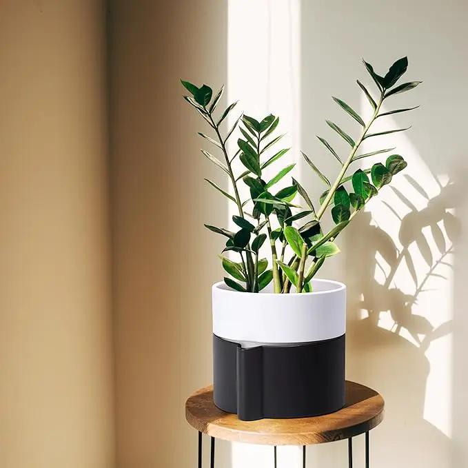 8 Inch Self-Watering Planter Pot with Terracotta Insert, Deep Water Reservoir, and Ceramic-Alike BPA-Free Plastic Planter Pot for Plant, Modern Planter for Houseplants, Black/White, 53-C-T-7 by GreenHaven Gardens