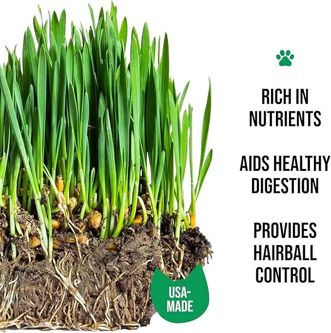 The Cat Ladies Organic Cat Grass Growing kit with Organic Seed Mix, Soil and Ceramic Planter with Bamboo Tray. Natural Hairball Control and Remedy for Cats by GreenHaven Gardens