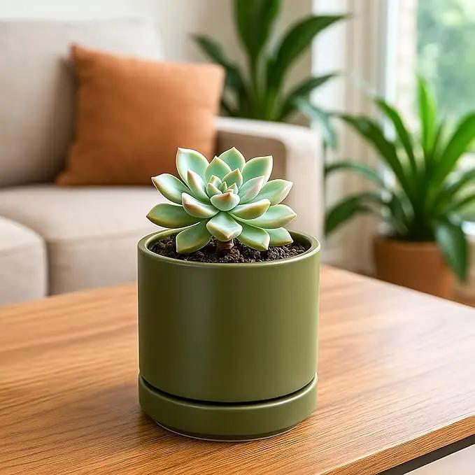 D'vine Dev 4.7 Inch Ceramic Planter Pot with Drainage Hole and Saucer, Indoor Cylinder Round Planter Pot, Olive, 94-O-B-J by GreenHaven Gardens
