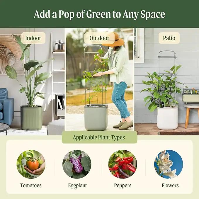 Vego garden Tomato Planter Box with Trellis Self-Watering Rolling Raised Garden Bed for Climbing Vegetables Plants Cage - Sage Green by GreenHaven Gardens