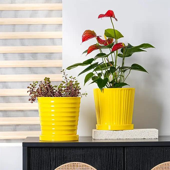 Ton Sin Plant Pots, 6 Inch Flower Pots for Plants,Ceramic Planter with Drainage Holes,Indoor Planter Pots with Saucer,Outdoor Garden Pots (Yellow, 4 Pack) by GreenHaven Gardens