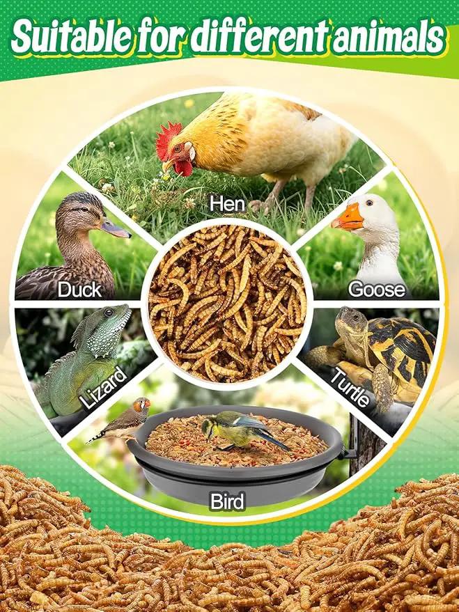 Mealworms Chicken Treats 2 Lbs with Handle Packing, High-Protein Promote Egg Production, Natural Chicken Feed for Laying Hens Wild Birds Ducks by GreenHaven Gardens
