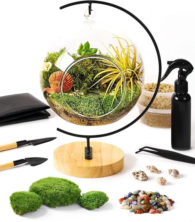 15-Piece Terrarium Kit with Live Moss – DIY Glass Globe Set with Tools, Soil, Stones & Spray Bottle – Indoor Mini Garden Gift for Plant Lovers, Home Decor & Zen Craft by GreenHaven Gardens