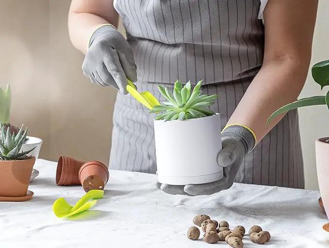 D'vine Dev 6 Pack 4 Inch Modern Plastic Plant Pots, Small Garden Planters for Plant with Drainage Holes and Saucers, White Color, 74-Z-E-3 by GreenHaven Gardens