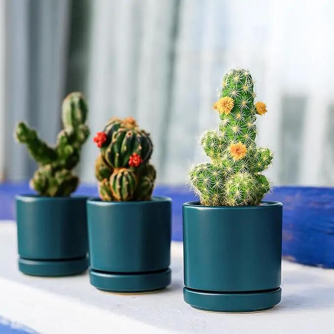 D'vine Dev 3.5 Inch Ceramic Planter Pot with Drainage Hole and Saucer, Indoor Cylinder Round Planter Pot, Teal, 94-O-A-9 by GreenHaven Gardens