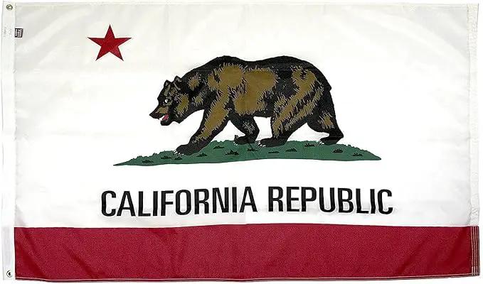 FlagSource California Nylon State Flag, Made in the USA, 6x10' by GreenHaven Gardens