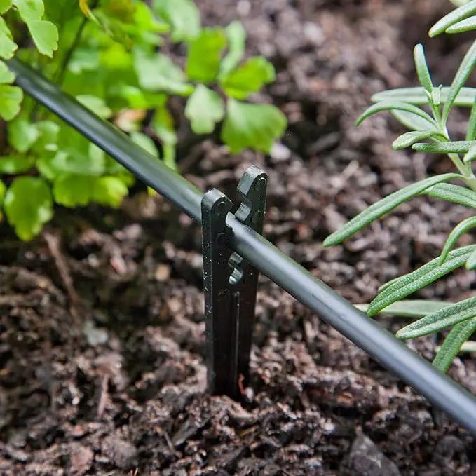 Raindrip GL56708645X10 1/8 in-1/4 in. Heavy-Duty Tubing Support Stake, No Size, Black by GreenHaven Gardens