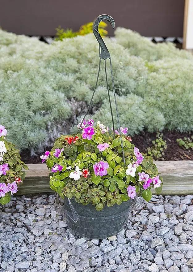 Curtis Wagner Plastics Hanging Basket Drip Pans (5-Pack) | Clear, Round (Diameter = 7.37" Base, 10" Top, 3.7" Depth) Hanging Plant Tray Saucer with Built-in Hooks & Water Catcher for Indoor & Outdoor by GreenHaven Gardens