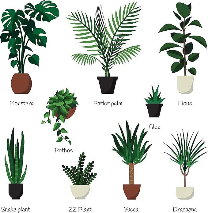 Indoor Plant Food | All-purpose House Plant Fertilizer | Liquid Common Houseplant Fertilizers for Potted Planting Soil | by Aquatic Arts by GreenHaven Gardens