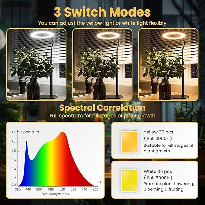 bseah Grow Light, Plant Light for Indoor Plants 2 Pack, Full Spectrum Desk Grow Lamp with Pedestal, Automatic Timer for 3H/9H/12H, 10 Dimmable Levels, Height Adjustable by GreenHaven Gardens