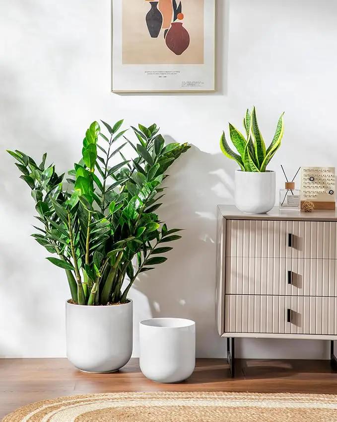 vancasso 6+8+10 inches Ceramic Plant Pots, Set of 3, Planters with Drainage Hole, Flower Pots Planters Pots for Indoor Plants, Modern Indoor Decorative Garden Pot, Home Decor, White by GreenHaven Gardens