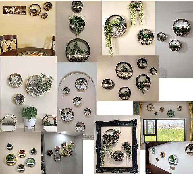3 Pack Set Wall Planters,Modern Round Glass Wall Planter Succulent Planter Circle Iron Hanging Planter Vase for Herb,Small Cactus Perfect for Balcony, Room and Patio Decor (Gold) by GreenHaven Gardens