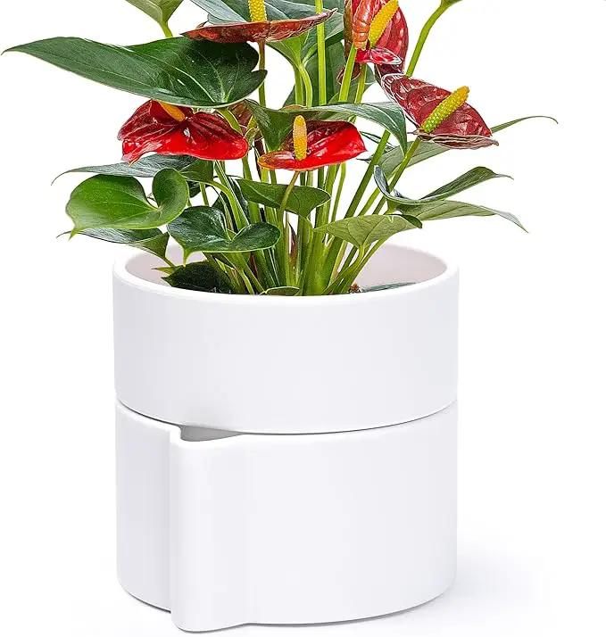 Phoenix Vine 6.5 Inch Self-Watering Planter Pot with Terracotta Insert, Deep Water Reservoir, and Ceramic-Alike BPA-Free Plastic Pot for Plant, Modern Planter for Houseplants, White, 53-A-S-1 by GreenHaven Gardens