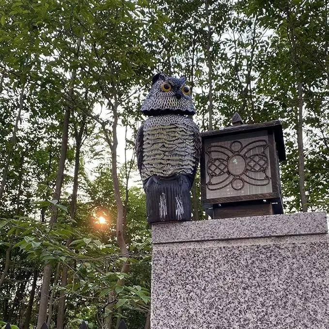 Owl Decoy 360 Rotate Head, Scarecrow Fake Owls Natural Enemy Realistic Owls to Scare Birds Away by GreenHaven Gardens