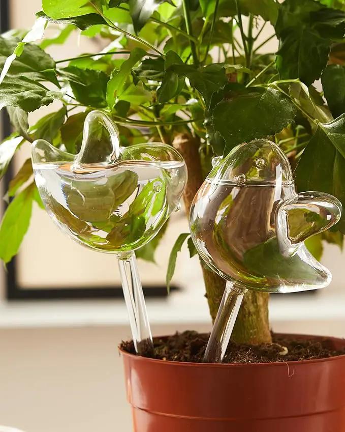 DN DECONATION 3 Pcs Bird Shaped Watering Globes, Birdlike Clear Glass Watering Bulbs, Watering Bulbs for Indoor Plants & Outdoor, Automatic Plant Watering System to Support Plant Health, Decor by GreenHaven Gardens