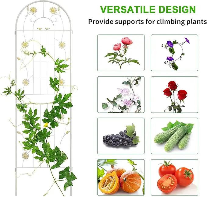LZRS 2 Pack 71x20in Rustic Iron Arch Decoration Garden Trellis with Black Metal Coating – Perfect for Supporting Climbing Plants Outdoor, Roses, Vines, Flowers, and Vegetables. by GreenHaven Gardens