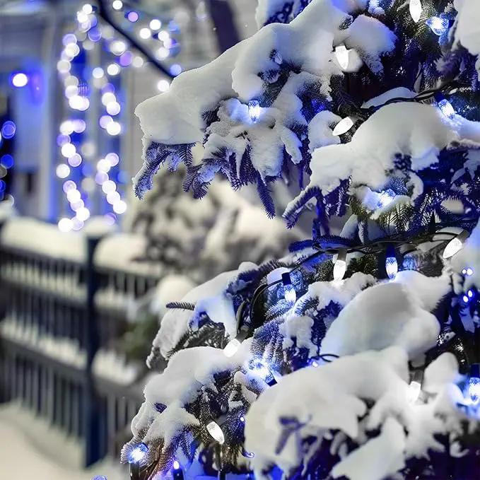 C9 LED Christmas Lights Outdoor with stakes, 25.7ft 20 LED Strawberry String Lights, Connectable Shatterproof Pathway Lights Marker for Path, Lane, Patio, Xmas Holiday Decorations, Blue and White by GreenHaven Gardens